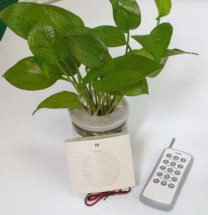 ����ң�ط���